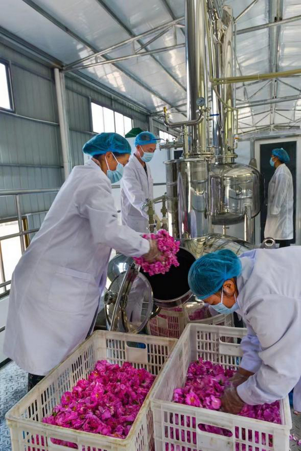 純露提取設(shè)備